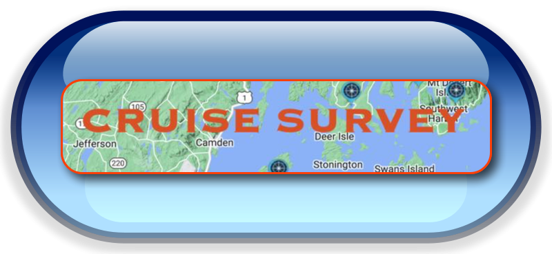 cruise survey